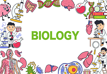 Biology 2024 (UEC, SPM, IGCSE)